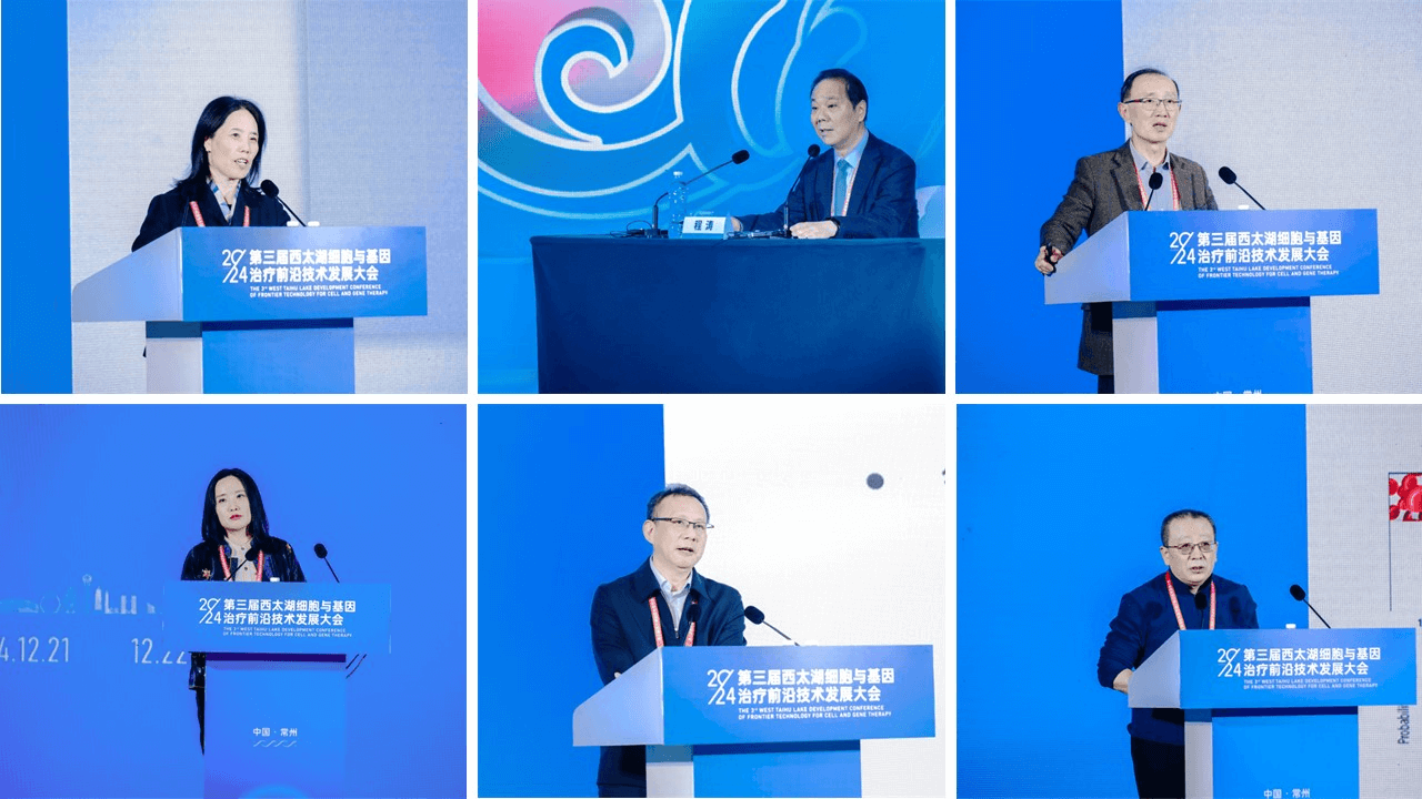 图片11.png